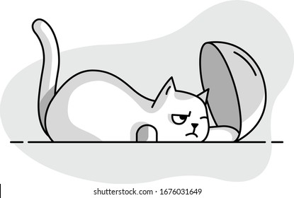 404 Error Cat Icon And Logo Ui Design