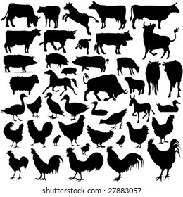 43 pieces of detailed vectoral farm animals silhouettes.