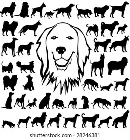 44 pieces of detailed vectoral dogs silhouettes.