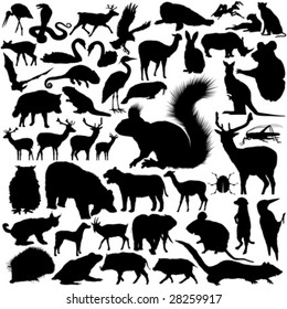 46 pieces of detailed vectoral wild animal silhouettes.