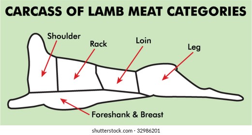 4H Lamb Meat