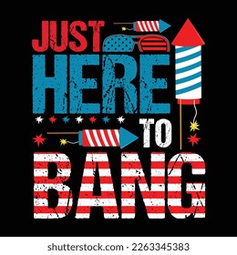 4th July T Shirt Patriotic Shirts Just Here To Bang Fireworks Memorial Day T-Shirt America Unisex