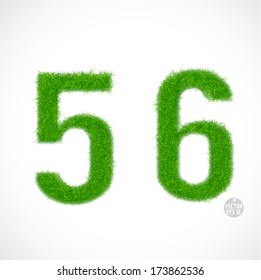 5, 6 number with grass textured isolated white background, vector illustration 