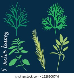 5 Beautiful vector leaves