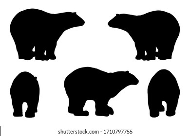 5 black and white set vector polar bear silhouette isolated on white background
