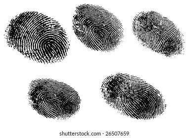 5 Black and White Vector Fingerprints - Very accurately scanned and traced ( Vector is transparent so it can be overlaid on other images, vectors etc.)