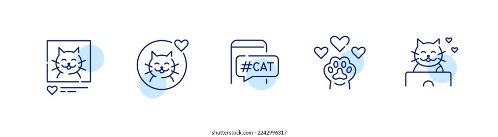 5 cat blogger icons. Pet social media presence. Pixel perfect, editable stroke