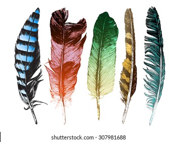 5 colorful hand drawn feathers on white background