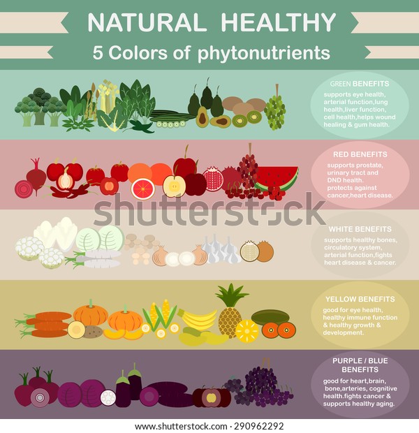 5 Colors Phytonutrients Stock Vector (Royalty Free) 290962292 ...