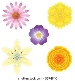 5 detailed vector flowers