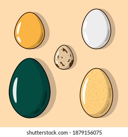 5 Different Type of Eggs