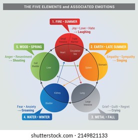 5 Elements Diagram with Organs and associated Emotions, Health, Natural Health and Chinese Medecine, Cycle of Life, 4 Seasons