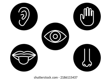 5 feel the icon. Vector illustration. Stock image. 