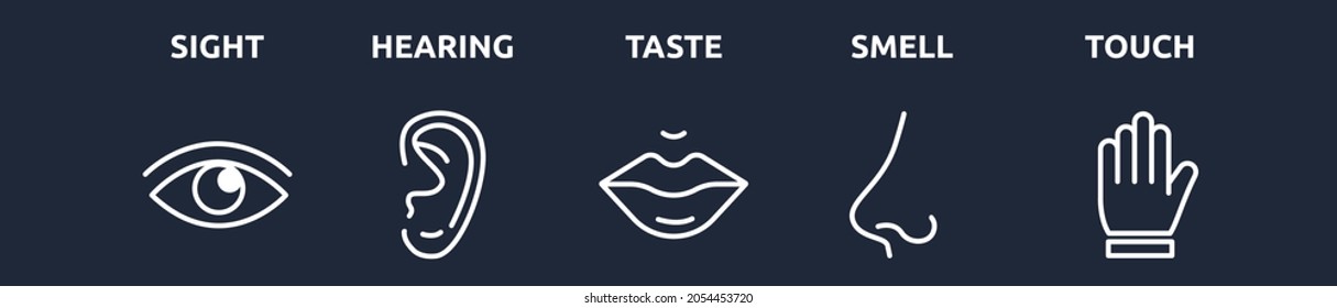 5 Five human senses. Line icon set on black background. Vector for web 