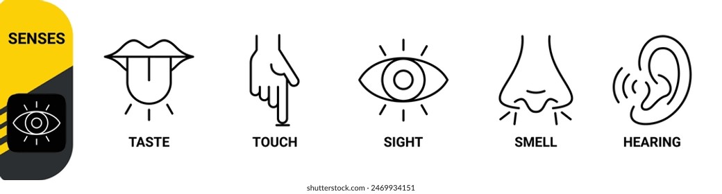 5 five types sense. Нuman nervous system line icons color set. Eye, nose, ear, hand, mouth. Sight, smell, hearing, touch, taste concept. Vector 