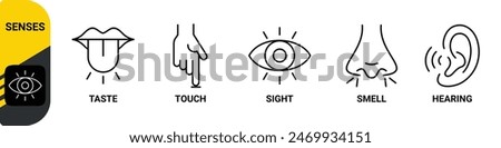 5 five types sense. Нuman nervous system line icons color set. Eye, nose, ear, hand, mouth. Sight, smell, hearing, touch, taste concept. Vector 