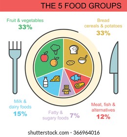 the 5 food groups, vector outline infographics design