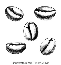 5 hand sketched coffee beans isolated on white background. Vector illustration
