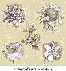 40,510 Pen ink drawings flowers Images, Stock Photos & Vectors ...