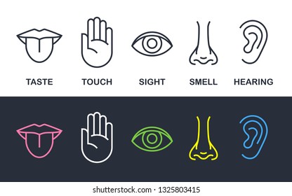 5 human body senses sign set with nose for smell, tongue for taste, hand for touch, eye for sight, and ear for hearing - line icons. Vector illustration.