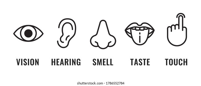 5 human senses illustrations. Taste, sight, touch, smell, hearing. Tongue, eye, finger, nose and ear. Modern flat style vector illustration.