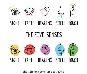 5 human senses illustrations. Taste, sight, touch, smell and hearing. Tongue, eye, finger, nose and ear. Trendy doodle hand drawn thin line icon . Vector illustration