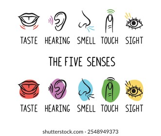 5 human senses illustrations. Taste, sight, touch, smell and hearing. Tongue, eye, finger, nose and ear. Trendy doodle hand drawn thin line icon . Vector illustration