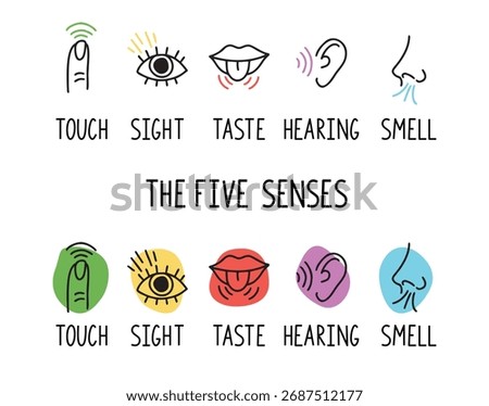 5 human senses illustrations. Taste, sight, touch, smell and hearing. Tongue, eye, finger, nose and ear. Trendy doodle hand drawn thin line icon . Vector illustration