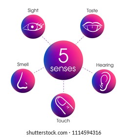5 human senses. Set of gradient icons. Information scheme. Vision (eye), smell (nose), hearing (ear), touch (hand), taste (mouth with tongue)