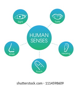 5 human senses.Vector icon set of five human senses: vision (eye), smell (nose), hearing (ear), touch (hand), taste (mouth with tongue). Trendy colors.