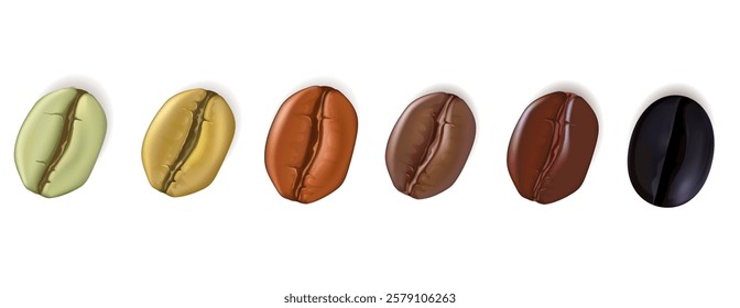 
5 levels of roasting intensity of Coffee beans with multi colored in cartoon style. vector illustation.