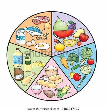 5 main food groups Cartoon Hand Painted