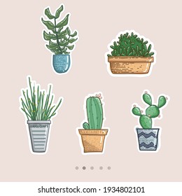 5 plants illustrator with cute pots 