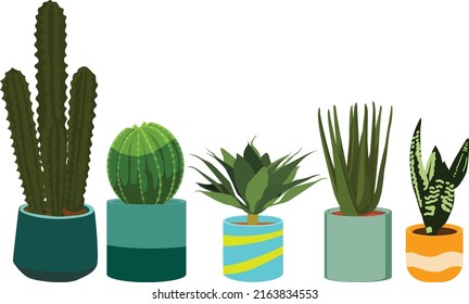 5 plantas aisladas de fondo blanco 