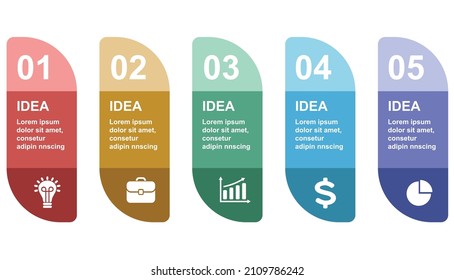 5 point vector Design infographic 