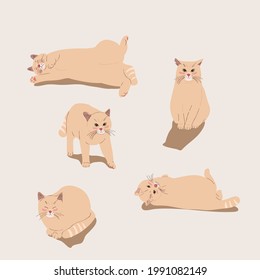 5.ª ilustración de un gato lindo