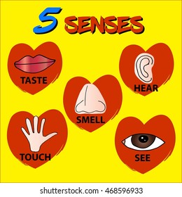 5 Senses