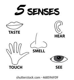 543 Five senses kids Images, Stock Photos & Vectors | Shutterstock