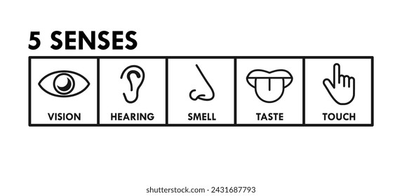 5 senses design template illustration