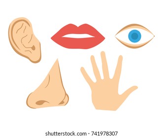 6,510 Hand eye hands nose mouth ear Images, Stock Photos & Vectors ...