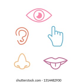 5 senses icon collection color. Five senses icon set
