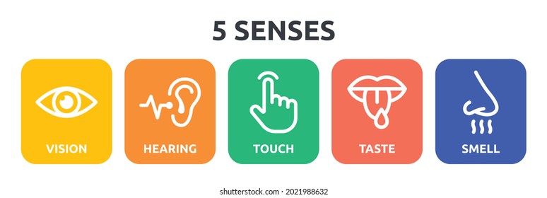 5 senses icon set. Containing vision, hearing, touch, taste and smell icon.