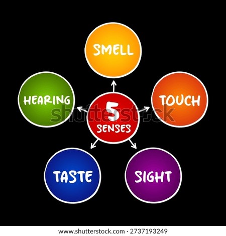 5 Senses mind map with colorful circles on a dark background. This educational infographic displays the five human senses—Smell, Touch, Sight, Taste, and Hearing—branching from a central red core