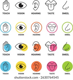 5 sentidos, ícones simplificados, minimalista, cores pastel, ilustração vetorial, moderno, design limpo
Ícones dos sentidos humanos. Cinco ícones dos sentidos humanos. Visão olfato audição toque paladar sensação preenchimento, vetor doente