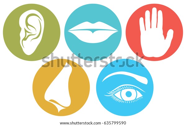 5感 嗅覚 触覚 聴覚 味覚 視覚 鼻 唇 目 耳 手 のベクター画像素材 ロイヤリティフリー