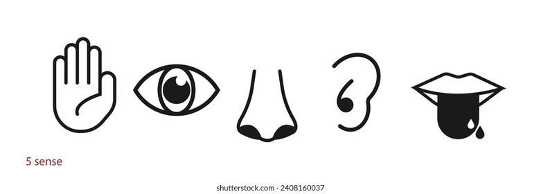 5 senses symbol icon vector