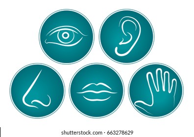 5 senses - symbols - vector