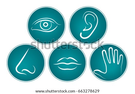 5 senses - symbols - vector
