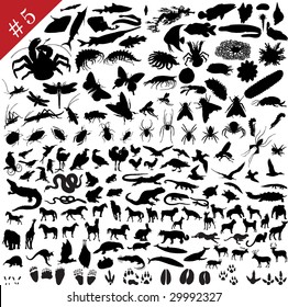 # 5 set of  different animals, birds, insects and fishes  vector silhouettes