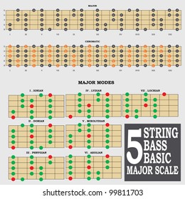 5 String Bass Basic Major Scale Stock Vector (Royalty Free) 99811703 ...